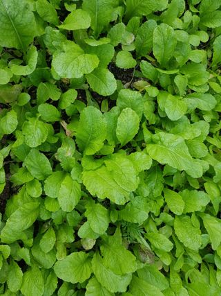 초록나무님의 자유주제 · 사진전 작성글 사진