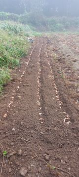 팜모닝 자유주제·자유게시판 게시글 이미지