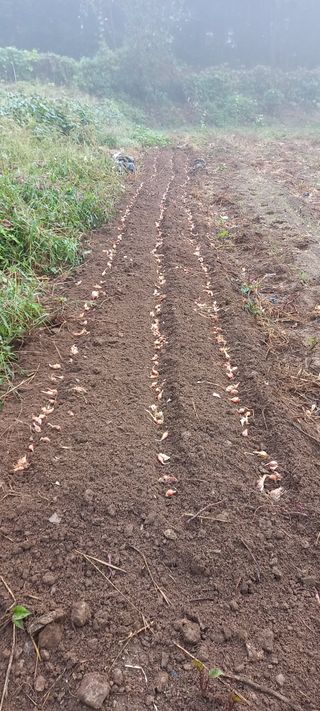 고병길님의 자유주제 · 자유게시판 작성글 사진