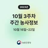 팜모닝 팜모닝공식·혜택 게시글 이미지