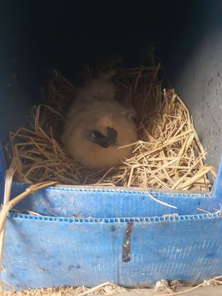 김영복님의 자유주제 · 자유게시판 작성글 사진