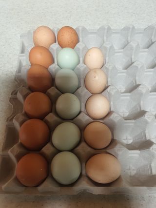 김영복님의 자유주제 · 자유게시판 작성글 사진