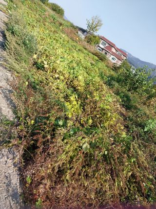 산골마님님의 작목반 소개하고 지원받기 · 참여글 작성글 사진