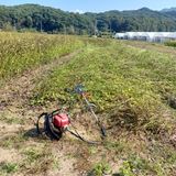 팜모닝 들깨·자유게시판 게시글 이미지