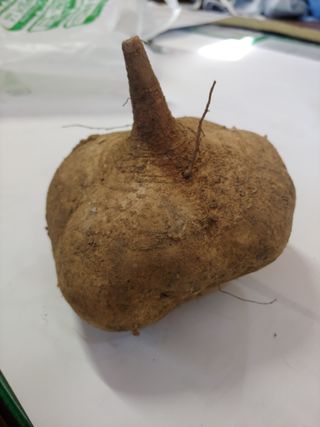 추성호님의 자유주제 · 자유게시판 작성글 사진