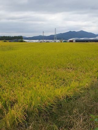김광신님의 작목반 소개하고 지원받기 · 참여글 작성글 사진