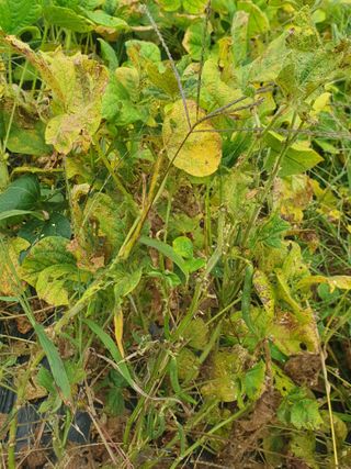 김광신님의 작목반 소개하고 지원받기 · 참여글 작성글 사진