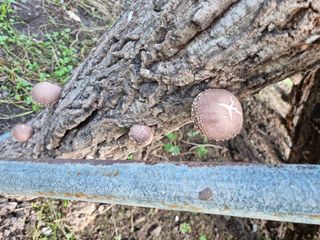 박영호님의 자유주제 · 사진전 작성글 사진