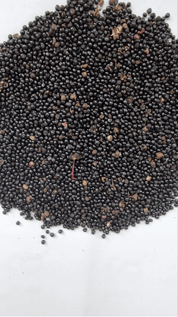 양지리님의 장터 판매 상품 [신토불이 산초 360밀리 리터  십만원 입니다 ] 첨부 사진