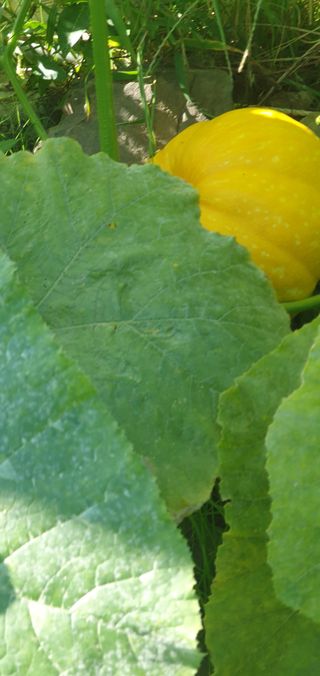 김귀분님의 자유주제 · 자유게시판 작성글 사진