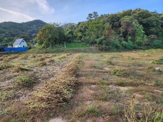 쏭이네농장(현자)님의 가을 농장 자랑해주세요🧑‍🌾 · 참여글 작성글 사진