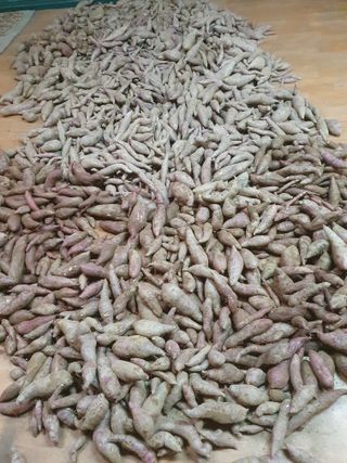 슈퍼맨님의 가을 농장 자랑해주세요🧑‍🌾 · 참여글 작성글 사진