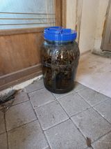 팜모닝 자유주제·자유게시판 게시글 이미지