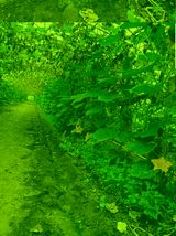 팜모닝 가을 농장 자랑해주세요🧑‍🌾·참여글 게시글 이미지