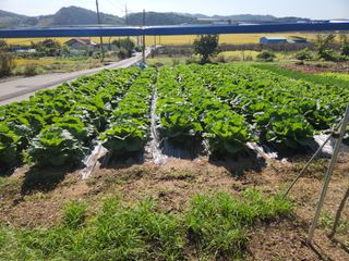 서천 희리산자락님의 가을 농장 자랑해주세요🧑‍🌾 · 참여글 작성글 사진