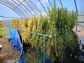 마중물0715님의 가을 농장 자랑해주세요🧑‍🌾 · 참여글 작성글 사진