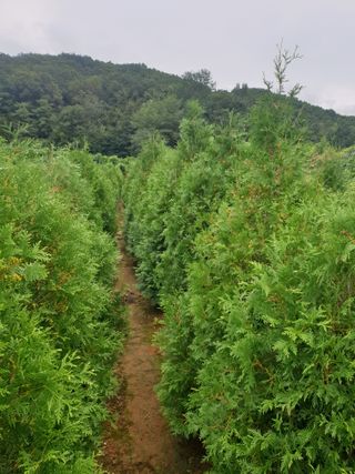 비 가너무오내요님의 가을 농장 자랑해주세요🧑‍🌾 · 참여글 작성글 사진