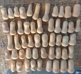 팜모닝 가을 농장 자랑해주세요🧑‍🌾·참여글 게시글 이미지