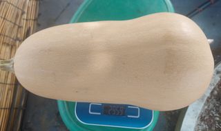 알 수 없음님의 가을 농장 자랑해주세요🧑‍🌾 · 참여글 작성글 사진