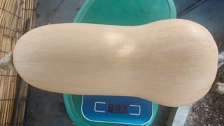 알 수 없음님의 가을 농장 자랑해주세요🧑‍🌾 · 참여글 작성글 사진