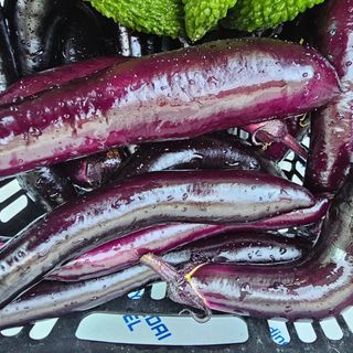 Bmww2226님의 가을 농장 자랑해주세요🧑‍🌾 · 참여글 작성글 사진