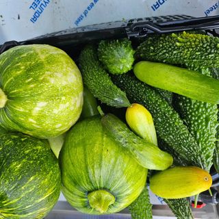 Bmww2226님의 가을 농장 자랑해주세요🧑‍🌾 · 참여글 작성글 사진