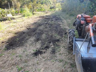임훈택 님의 마늘 · 영농일지 작성글 사진