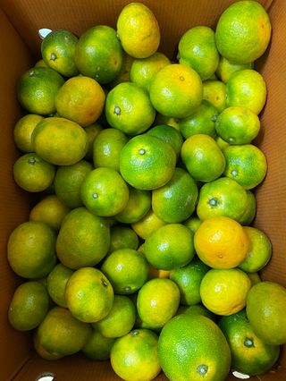 돌담님의 작성글 사진