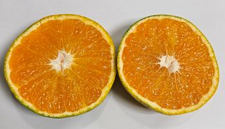 돌담님의 작성글 사진