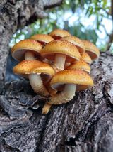 팜모닝 가을 농장 자랑해주세요🧑‍🌾·참여글 게시글 이미지