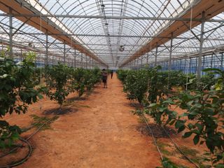 ㅈㅅㄱ님의 가을 농장 자랑해주세요🧑‍🌾 · 참여글 작성글 사진