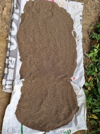 초롱님의 가을 농장 자랑해주세요🧑‍🌾 · 참여글 작성글 사진