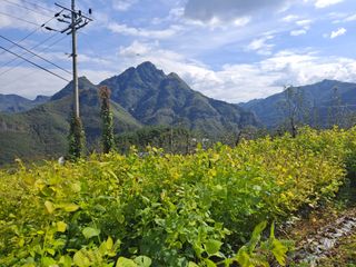이애숙님의 가을 농장 자랑해주세요🧑‍🌾 · 참여글 작성글 사진