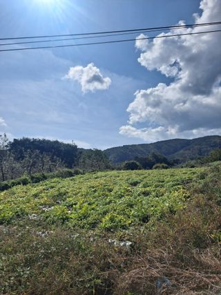 이애숙님의 가을 농장 자랑해주세요🧑‍🌾 · 참여글 작성글 사진