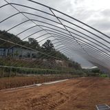 팜모닝 가을 농장 자랑해주세요🧑‍🌾·참여글 게시글 이미지