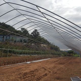 오늘 이순간님의 가을 농장 자랑해주세요🧑‍🌾 · 참여글 작성글 사진