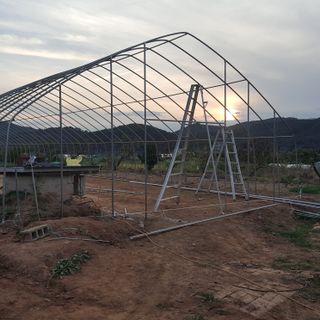 오늘 이순간님의 가을 농장 자랑해주세요🧑‍🌾 · 참여글 작성글 사진