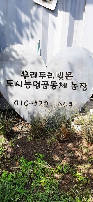 이강재님의 가을 농장 자랑해주세요🧑‍🌾 · 참여글 작성글 사진