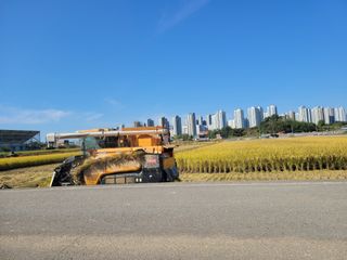 헐크님의 가을 농장 자랑해주세요🧑‍🌾 · 참여글 작성글 사진