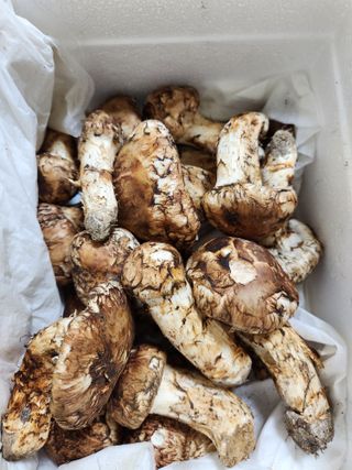 kis님의 자유주제 · 자유게시판 작성글 사진