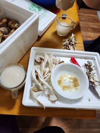 kis님의 자유주제 · 자유게시판 작성글 사진