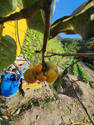 kis님의 자유주제 · 자유게시판 작성글 사진