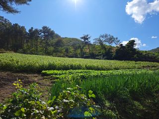토종벌님의 가을 농장 자랑해주세요🧑‍🌾 · 참여글 작성글 사진