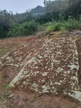 팜모닝 우리동네·동네자랑 게시글 이미지