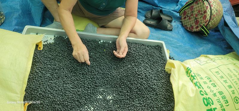 장터 상품 [서리태 40kg 2개] 썸네일