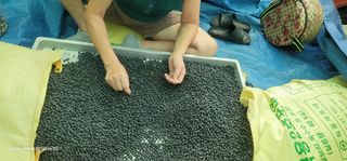 전용철님의 작성글 사진