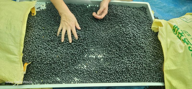 전용철님의 장터 판매 상품 [서리태 40kg 2개] 첨부 사진