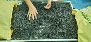 전용철님의 작성글 사진