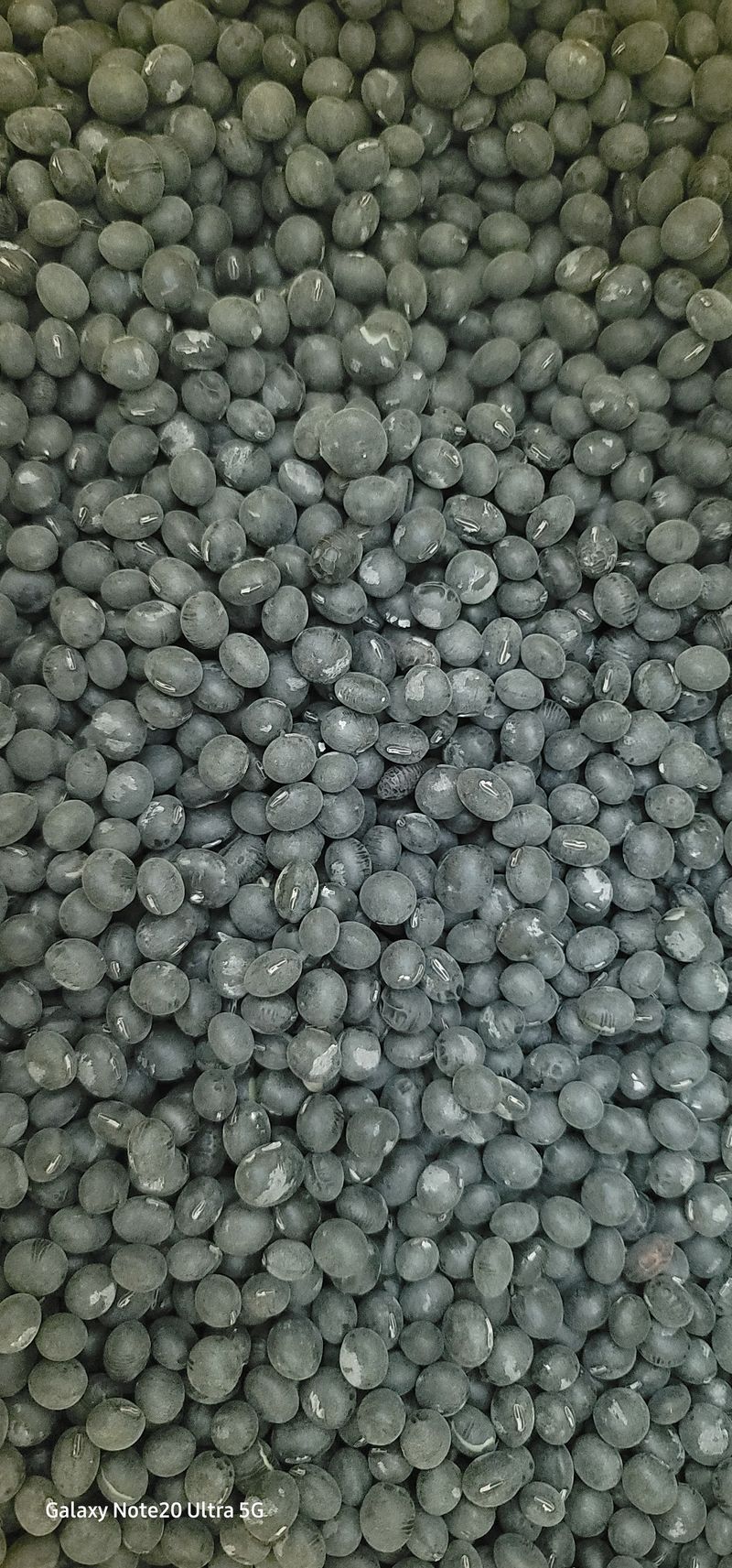 전용철님의 장터 판매 상품 [서리태 40kg 2개] 첨부 사진