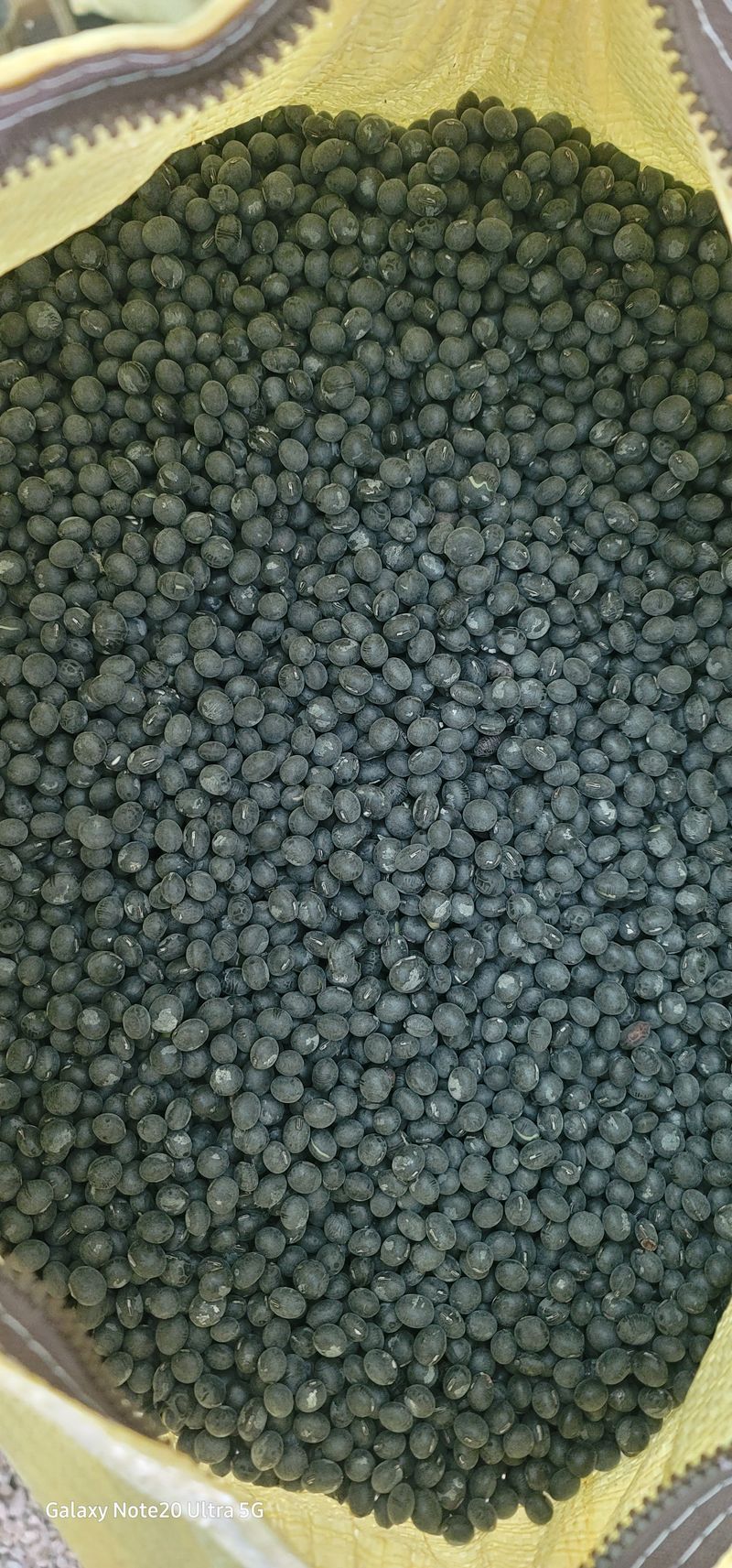 전용철님의 장터 판매 상품 [서리태 40kg 2개] 첨부 사진